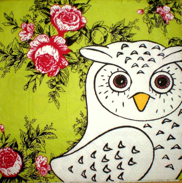 075 Owls - 3-ply - Click / Ihr